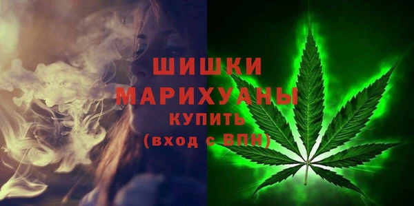 прущие грибы Верхнеуральск