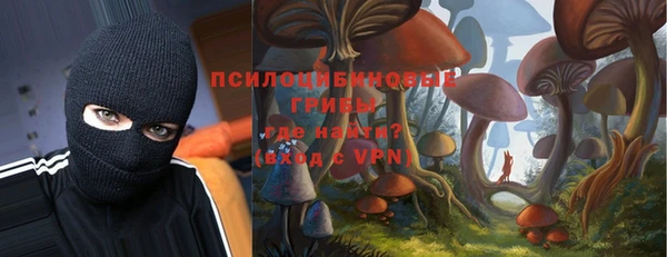 прущие грибы Верхнеуральск