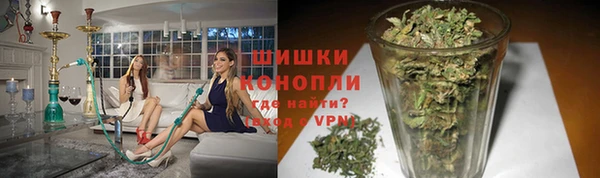 прущие грибы Верхнеуральск
